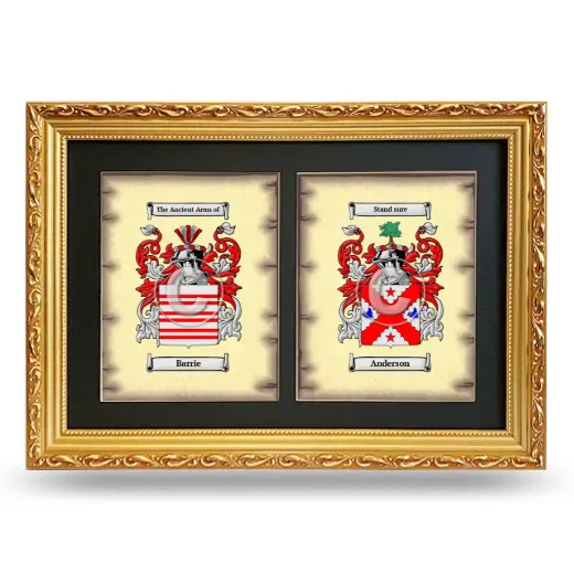 Double Coat of Arms Framed - Gold
