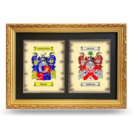 Double Coat of Arms Framed - Gold
