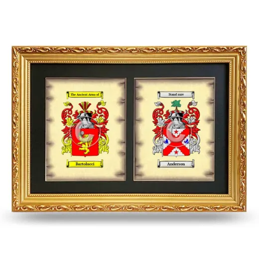 Double Coat of Arms Framed - Gold