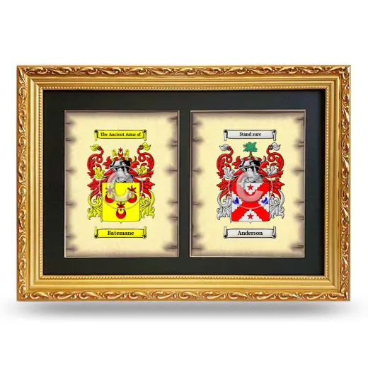 Double Coat of Arms Framed - Gold