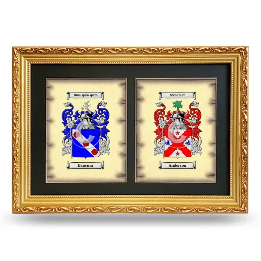 Double Coat of Arms Framed - Gold