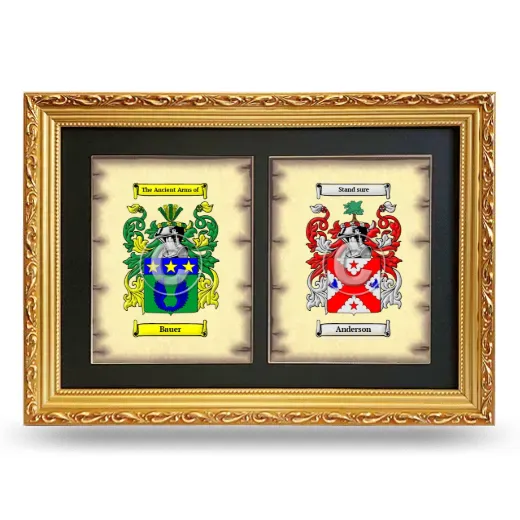 Double Coat of Arms Framed - Gold