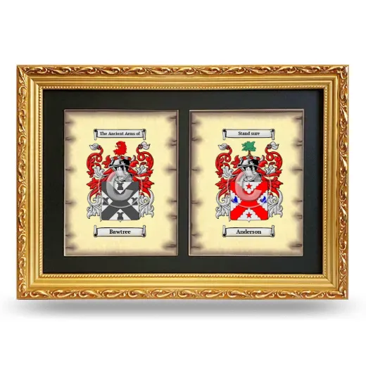 Double Coat of Arms Framed - Gold