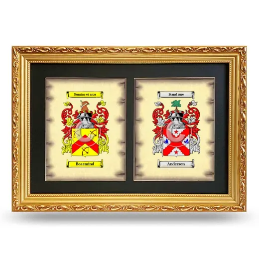 Double Coat of Arms Framed - Gold