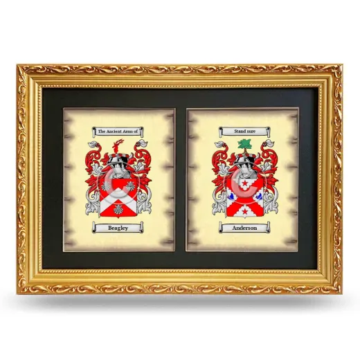 Double Coat of Arms Framed - Gold