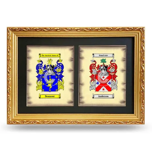 Double Coat of Arms Framed - Gold