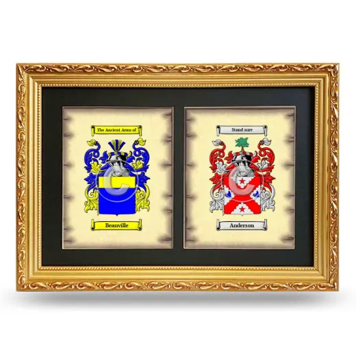 Double Coat of Arms Framed - Gold