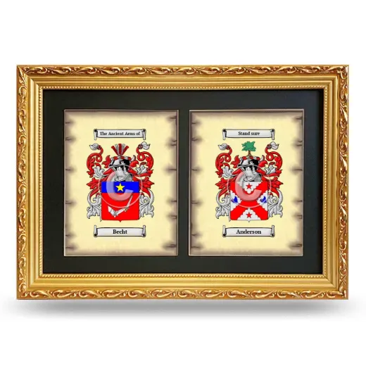 Double Coat of Arms Framed - Gold