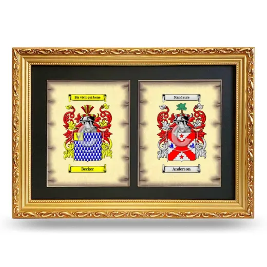 Double Coat of Arms Framed - Gold