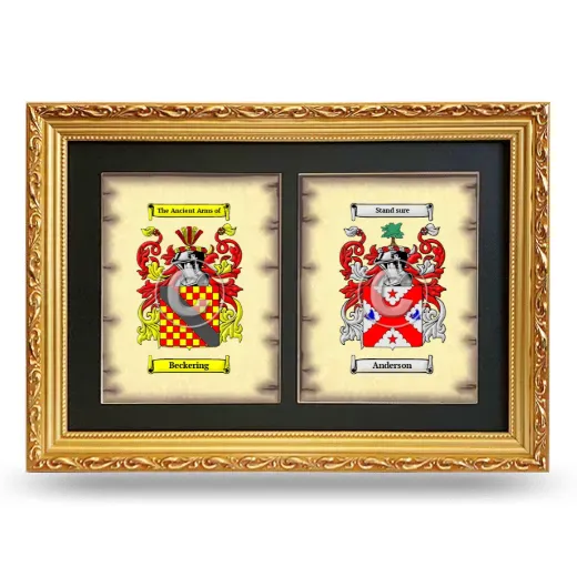 Double Coat of Arms Framed - Gold