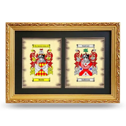 Double Coat of Arms Framed - Gold