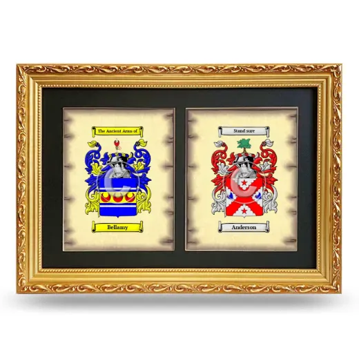 Double Coat of Arms Framed - Gold