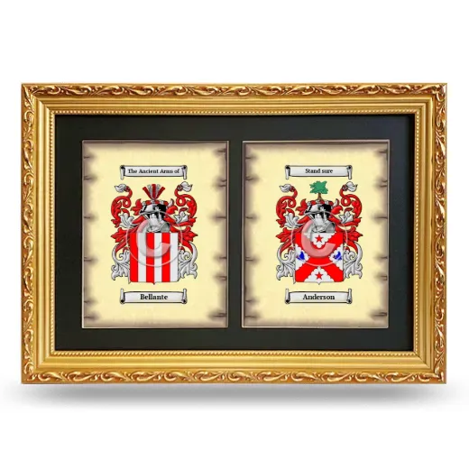 Double Coat of Arms Framed - Gold