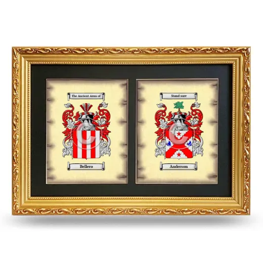 Double Coat of Arms Framed - Gold