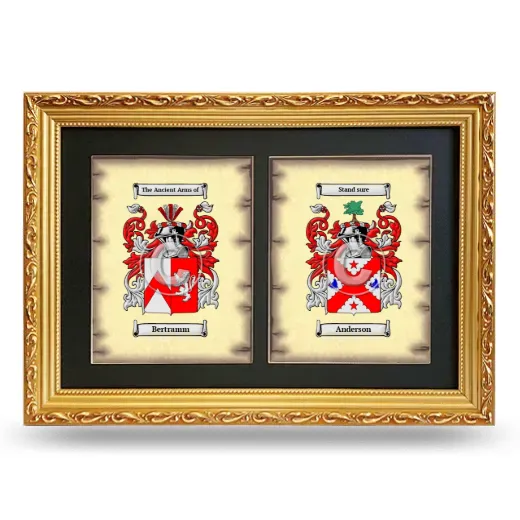 Double Coat of Arms Framed - Gold