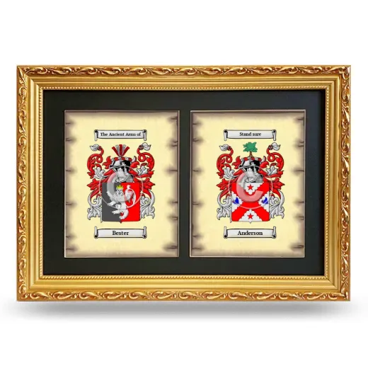 Double Coat of Arms Framed - Gold