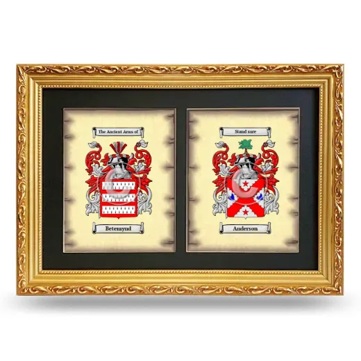 Double Coat of Arms Framed - Gold