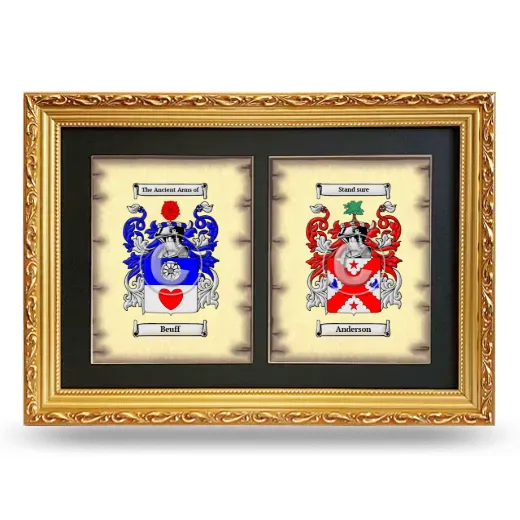 Double Coat of Arms Framed - Gold