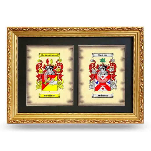 Double Coat of Arms Framed - Gold