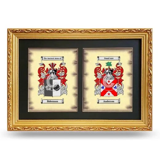 Double Coat of Arms Framed - Gold