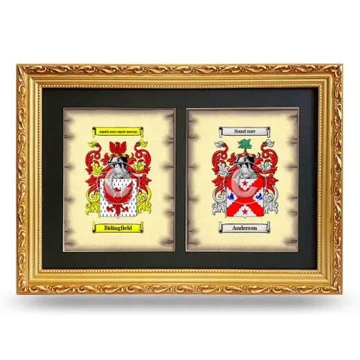 Double Coat of Arms Framed - Gold