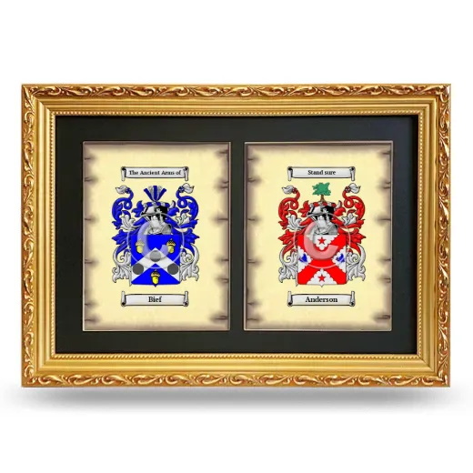 Double Coat of Arms Framed - Gold