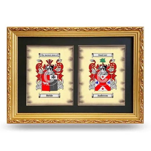 Double Coat of Arms Framed - Gold