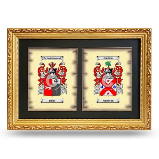 Double Coat of Arms Framed - Gold