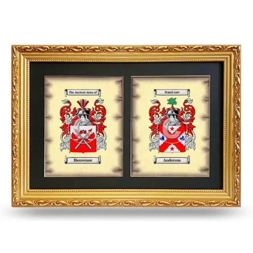Double Coat of Arms Framed - Gold
