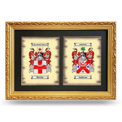 Double Coat of Arms Framed - Gold