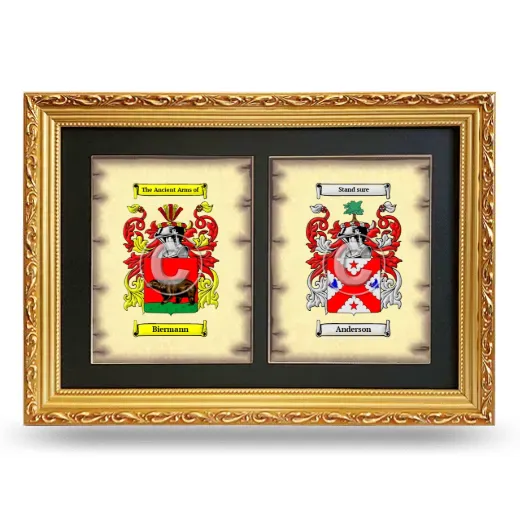 Double Coat of Arms Framed - Gold