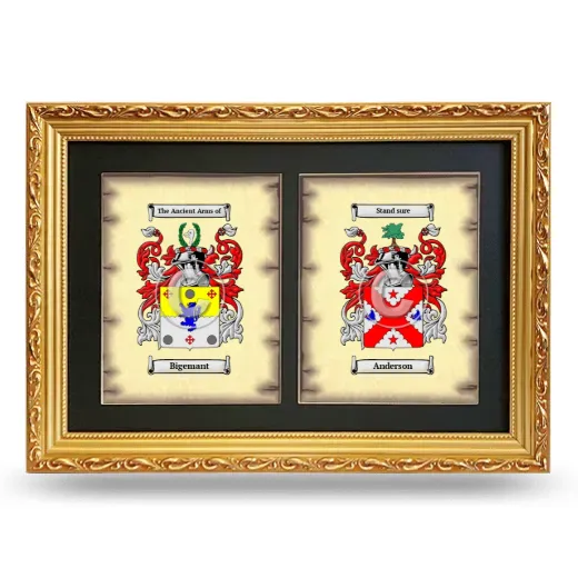 Double Coat of Arms Framed - Gold