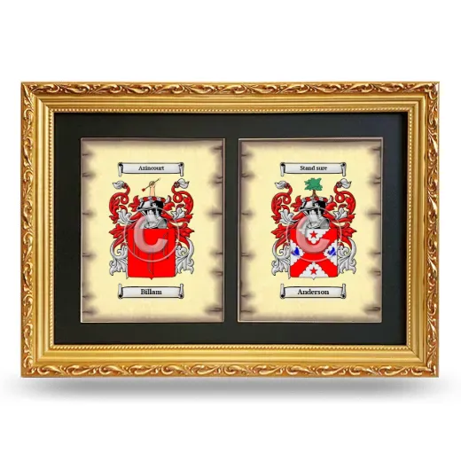 Double Coat of Arms Framed - Gold