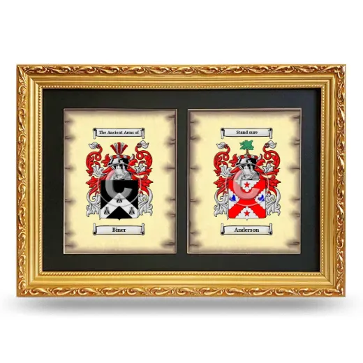 Double Coat of Arms Framed - Gold
