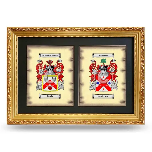 Double Coat of Arms Framed - Gold