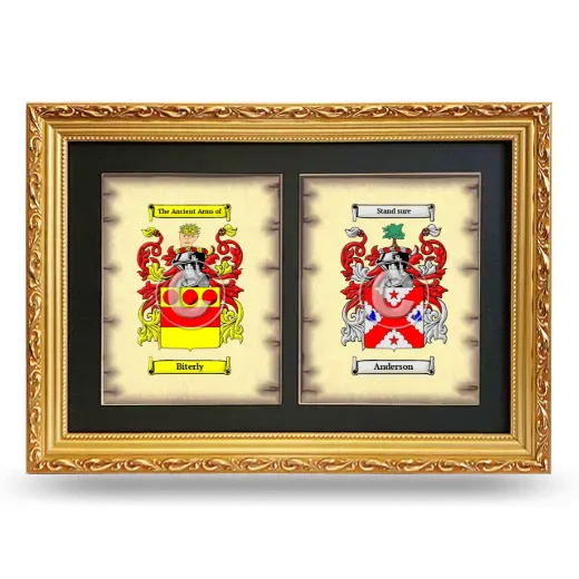 Double Coat of Arms Framed - Gold