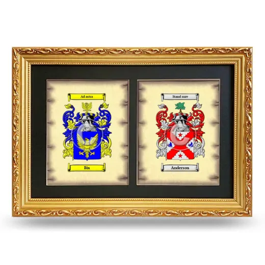Double Coat of Arms Framed - Gold