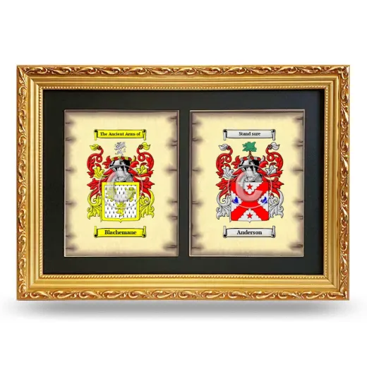 Double Coat of Arms Framed - Gold