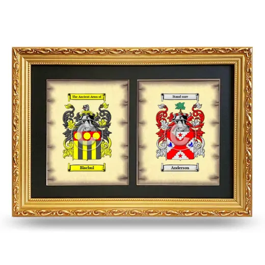 Double Coat of Arms Framed - Gold