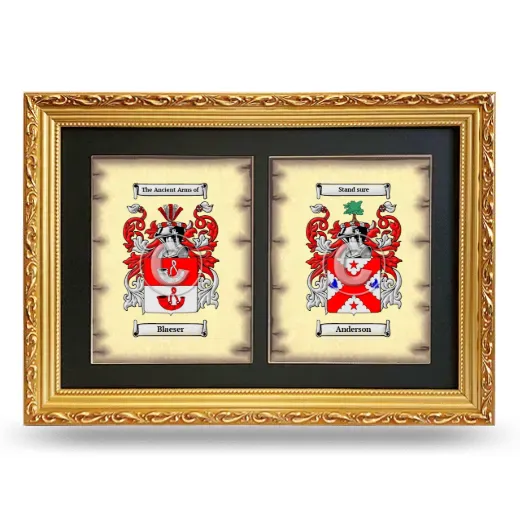 Double Coat of Arms Framed - Gold