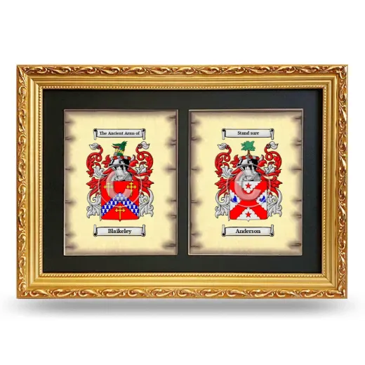 Double Coat of Arms Framed - Gold