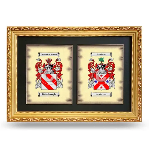 Double Coat of Arms Framed - Gold