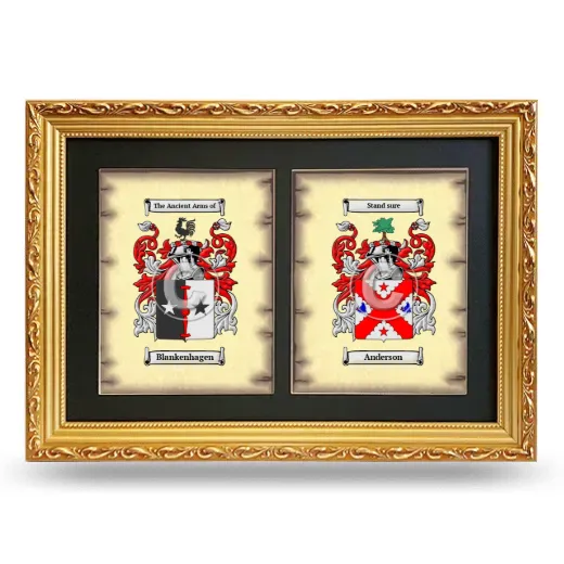 Double Coat of Arms Framed - Gold