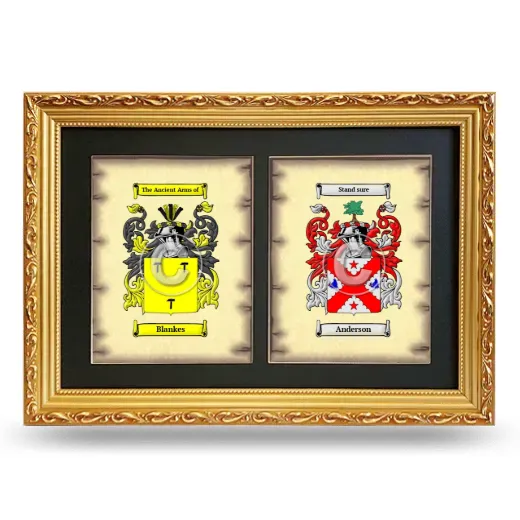 Double Coat of Arms Framed - Gold