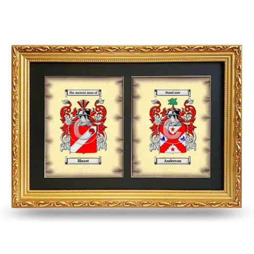 Double Coat of Arms Framed - Gold
