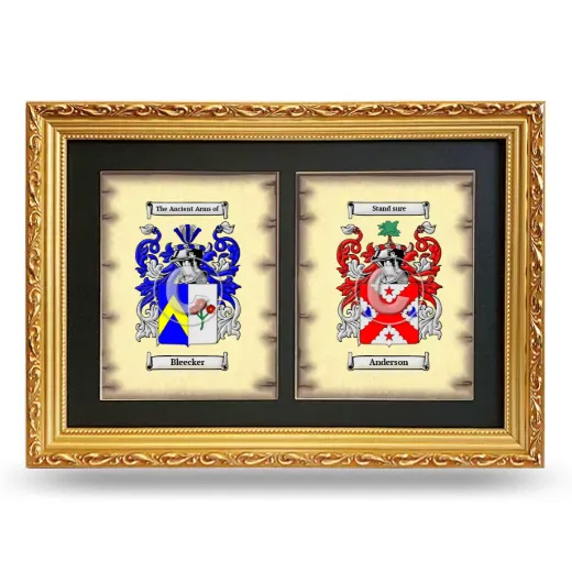 Double Coat of Arms Framed - Gold
