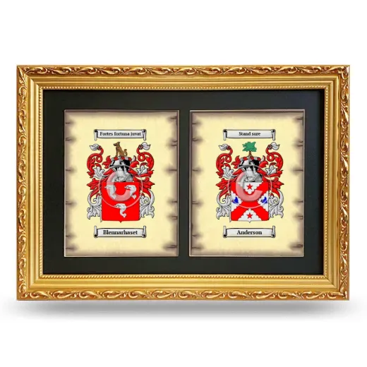 Double Coat of Arms Framed - Gold