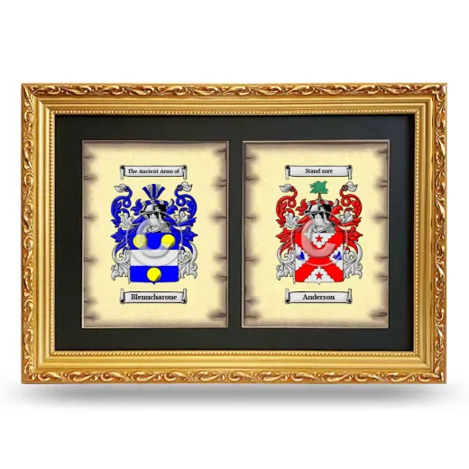 Double Coat of Arms Framed - Gold