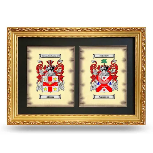 Double Coat of Arms Framed - Gold