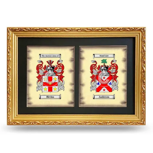 Double Coat of Arms Framed - Gold